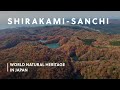 Shirakamisanchi forest of gods  world natural heritage in japan