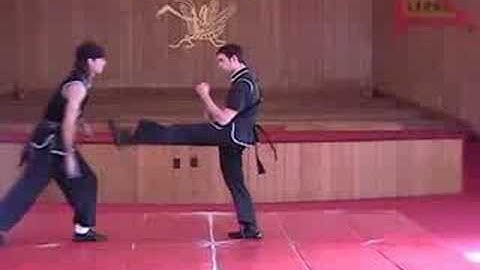 Eight Step Preying Mantis Kung Fu 3