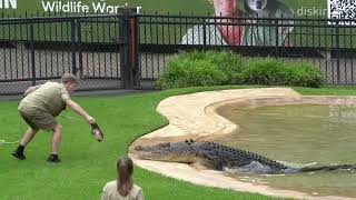 Bluey Gets the Better of Robert in a Game of Tug of War | Australia Zoo
