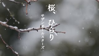 桜、ひらり　サザンオールスターズ （カバー/歌詞付）