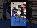 DEVASTATING Dutch Kickboxing Combo! Mp3 Song