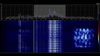 Metronome/Stalingrad Clock (6911Khz) June 22nd, 2026 Alarm/Claxon rare activity