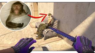 This CS2 Video Will Make You Laugh Yourself Into a Coma… screenshot 3