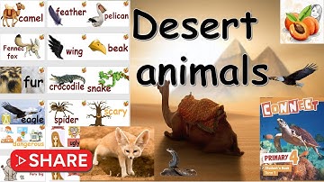 CONNECT primary 4 Unit 2 Desert 🏜 animals 🐪🦊🐊🦎🕷🦅🐍 flashcards أفضل فيديو تعليمي I حصريا