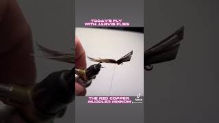 Tying a Muddler Minnow #shorts #flytying #flytyingtutorial #troutflies #streamer #muddlerminnow