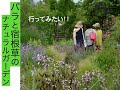 ［ガーデンレポート］雑木と宿根草のナチュラルガーデン