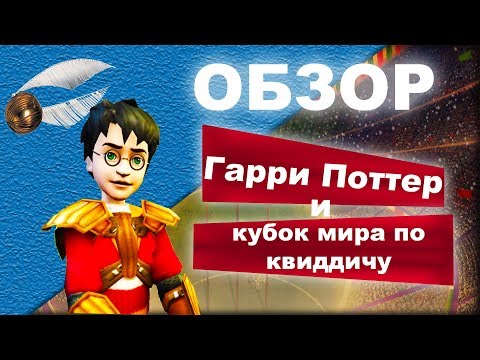 Вопрос: Как играть в Квиддич для маглов?