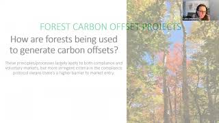 Making sense of forest carbon markets for Vermont and beyond