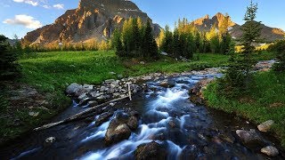 Red Sonnet - Waters Flow Extended