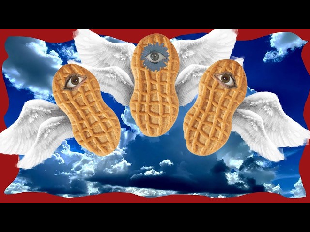 TikTok's most BIZARRE brand account