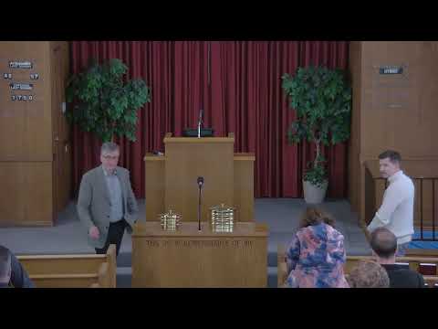 Video preview