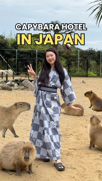 Living With CAPYBARAS For 24 Hours In Japan #japan