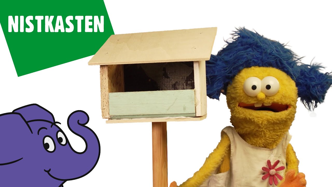 Basteln mit Biene - Wie baut man ein Vogelhaus aus Holzbrettern? | Der Elefant | WDR