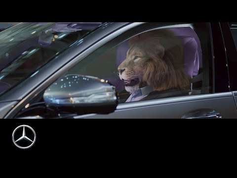 mercedes-ben:-king-of-the-city-jungle-_-s-class,-commercial-ad-.