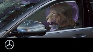 Mercedes-Ben: King of the City Jungle _ S-Class, Commercial Ad .