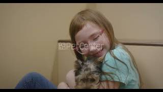 PetCenter Pets Are Family (6s) by Petland Cares 14 views 11 months ago 7 seconds