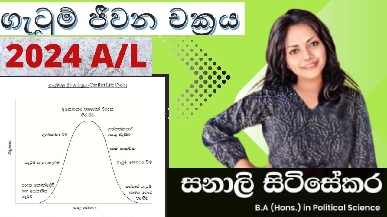 ගැටුම් ජීවන චක්‍රය #zoom #level