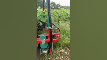 Mulching Brush For Weeds Under The Vines || By Clemens Technologies Germany || #shorts #farming