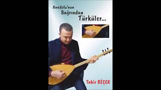 Ayrilik Hasreti̇ - Tahi̇r Bi̇çer