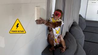 What will the smart Kobi monkey do when the power goes out?