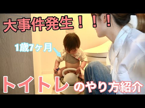 【トイトレpart2】トイレトレーニングの始め方、やり方を紹介！実践しました！