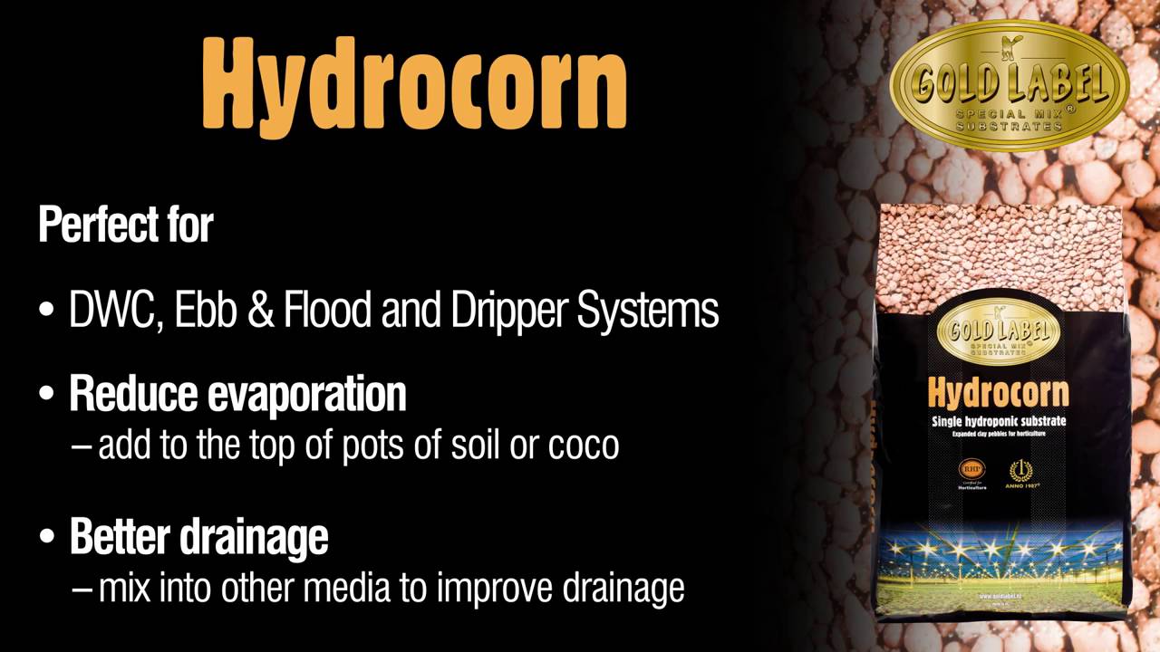 Gold Label HydroCorn YouTube