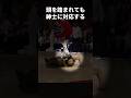 頭を踏まれても紳士的に対応するグラント・ウィリアムス #shorts