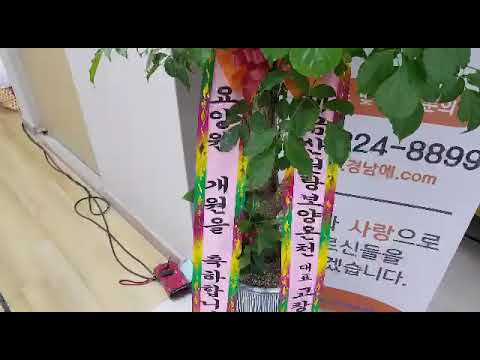 마산 애 요양병원  가수정미정(각설이타령)