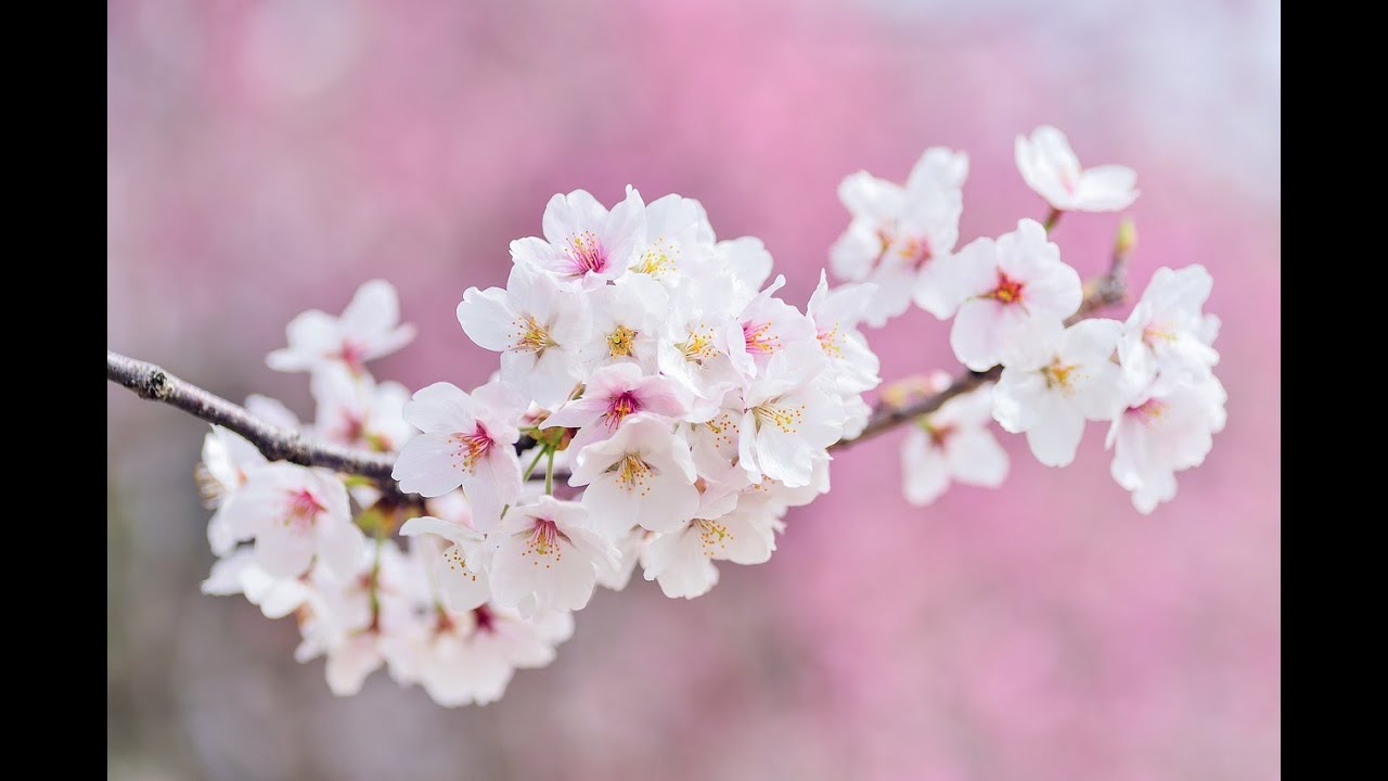 HAUL TEMU GRATUIT 😁😁😁☺️😉 et UNE CREATION