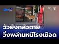 วัวยังกลัวตาย วิ่งพล่านคูเมือง หนีโรงเชือด | ข่าวเด็ด 7 สี