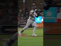 Luis Gar-See-Ya 👋