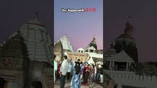 Mo jaga kalia re💕 #video #viralvideo #reels #shotsvideo #odiabhajan