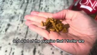 Purina Pro Plan Large Breed Dry Puppy Food, Chicken and Rice Formula Review