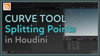 #36 Splitting Points with the Curve Tool in Houdini