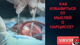 Как избавиться от мыслей о нарциссе?