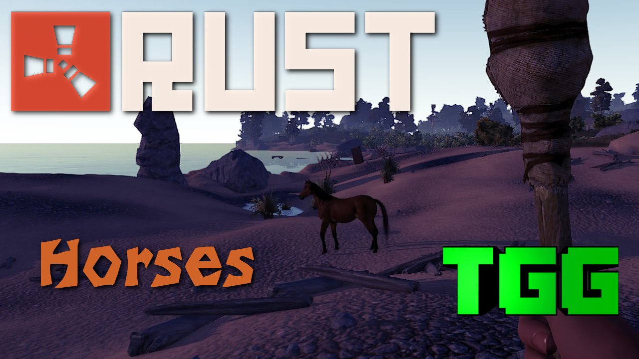 Rust Horses Rust Experimental- Horse Update!!! - YouTube