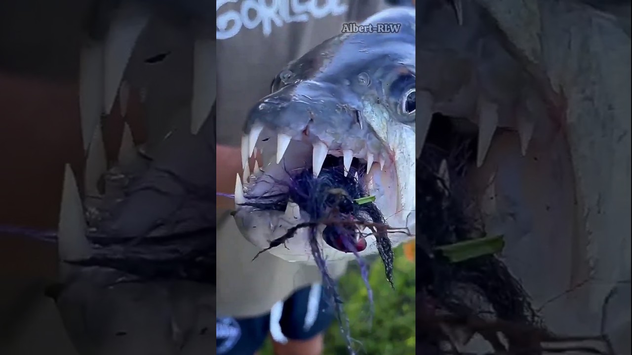 datos SECRETOS de Animales salvajes