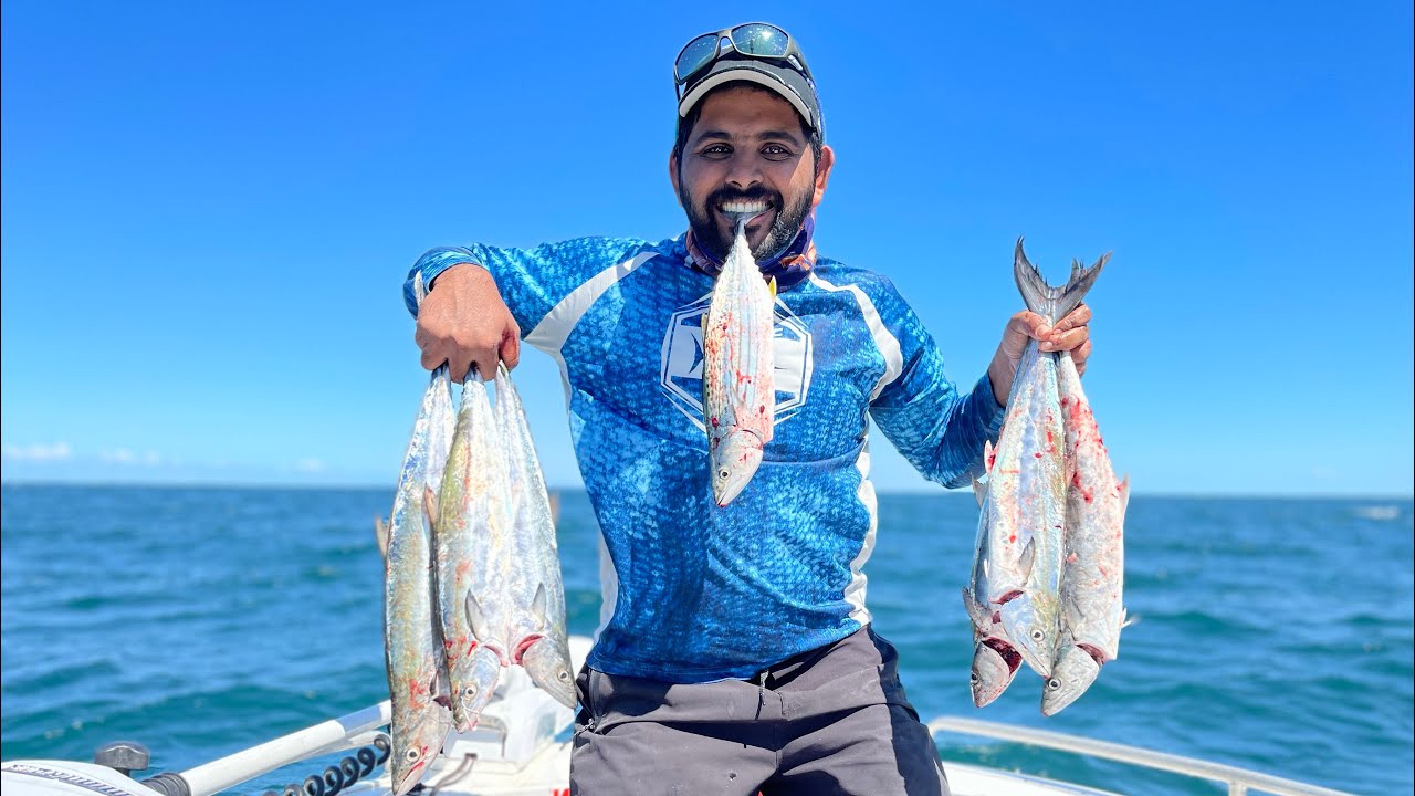 Moreton Bay Mackerel Crazy Session YouTube