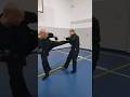 Punch &amp; kick play #bujinkan #martialarts #ninja #ninjutsu #samoodbrana #selfdefense