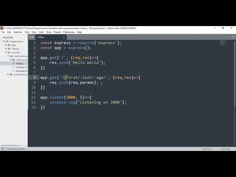 NodeJS - Route path params with Express