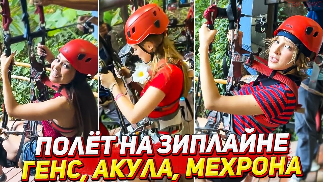 ГЕНСУХА, АКУЛИЧ И МЕХРОНА ЛЕТЯТ НА ЗИПЛАЙНЕ