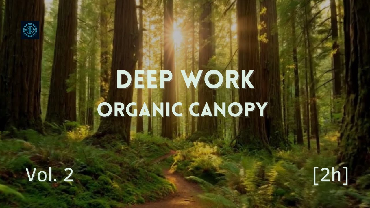Deep Work Music | Nature-Tech | Organic Canopy | 2H | Vol. 2