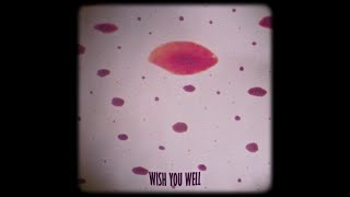 Wish You Well | Lo-Fi Vocals |