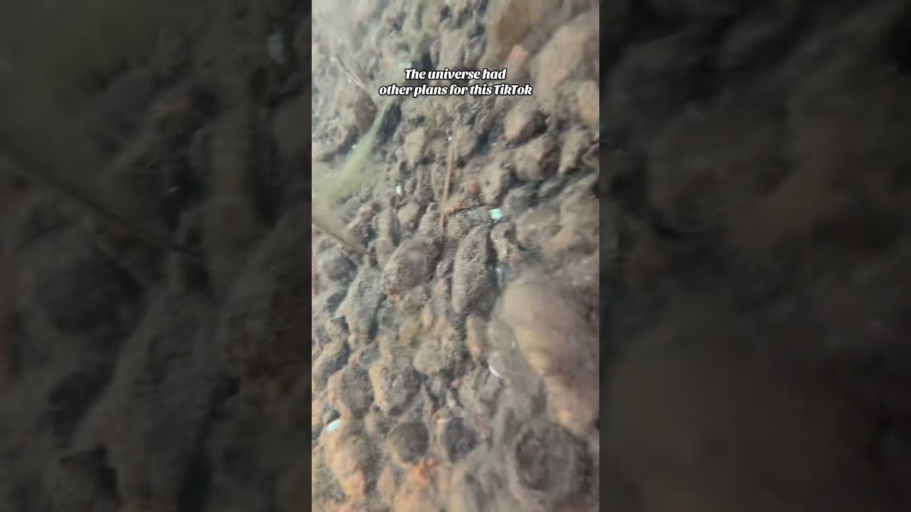 When the First Draft Was the Best One 😂