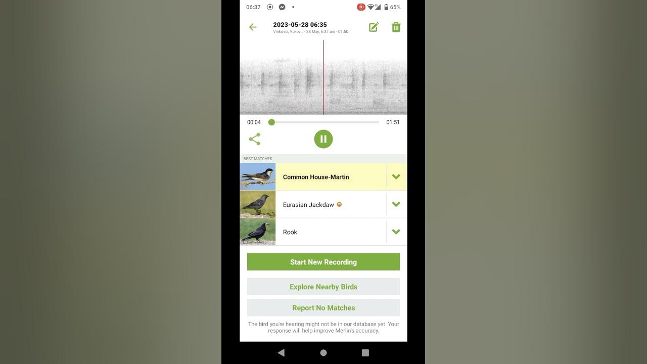 Merlin bird identification app youtube