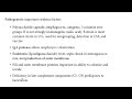 Gram Negative lecture 12