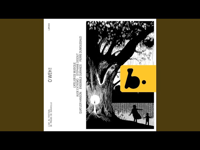 Lieder eines fahrenden Gesellen, GMW 10 (Arr. for Voice and Chamber Ensemble by Arnold...