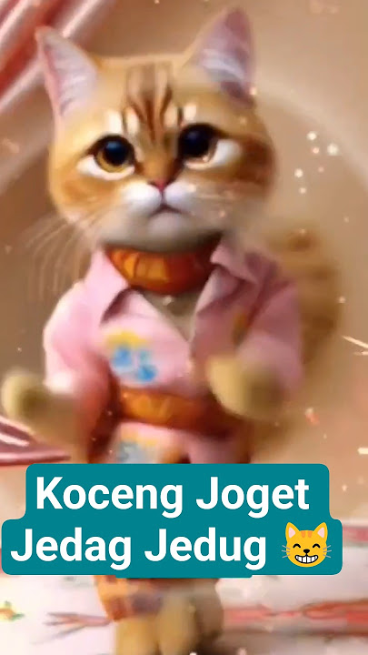 koceng joget jedag jedug 😸#kucingjoget#jogetseru#bikinngakak#shorts