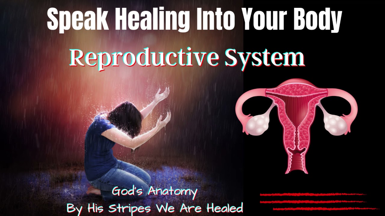 How To Speak Healing Upon Your Body |  Female Reproductive System | God's Anatomy