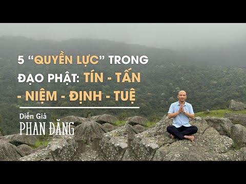 Video: Năm loại quyền lực chính là gì?